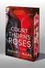 A Court of Thorns and Roses – Tüskék és rózsák udvara (Tüskék és rózsák udvara 1.)
