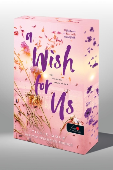 A Wish for Us – Ezt kívánom magunknak (Különleges éldekorált kiadás!)