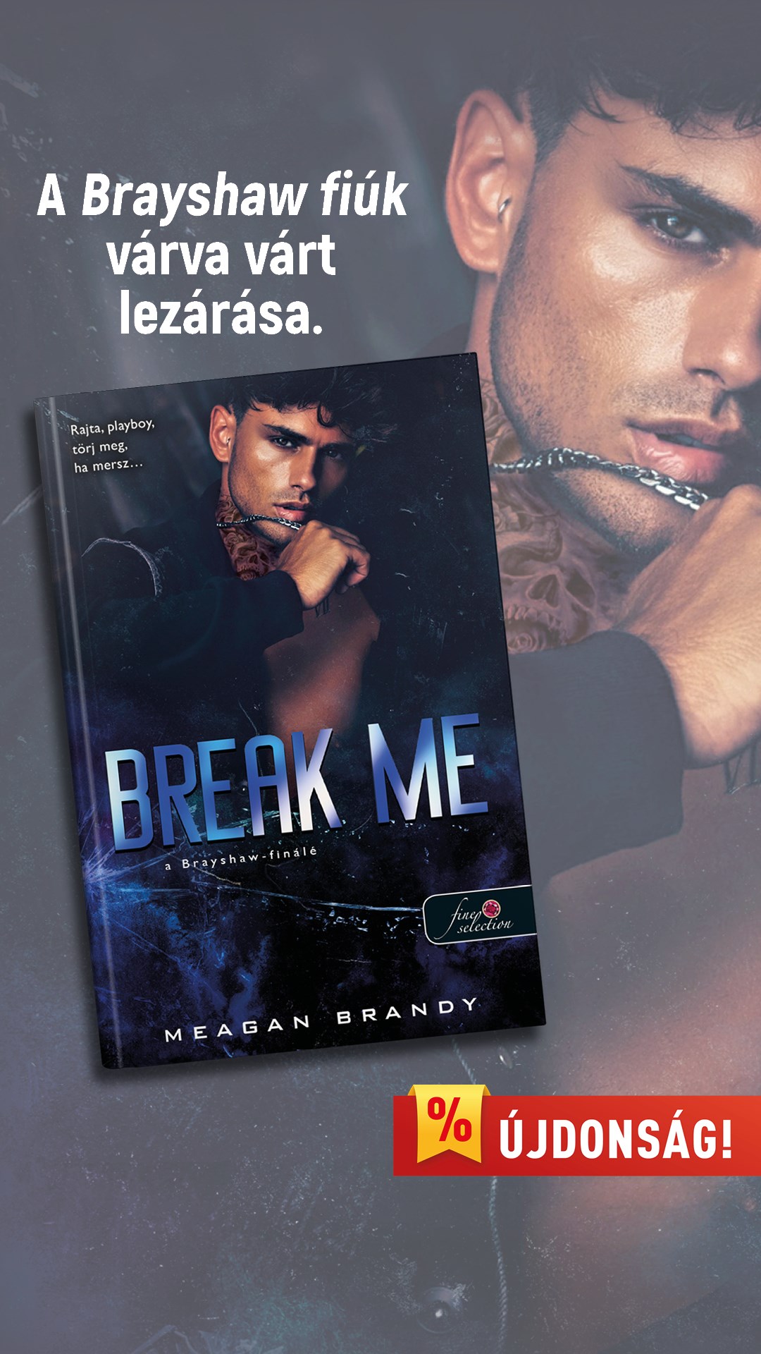 Break Me - A Brayshaw-finálé (A banda 5.)