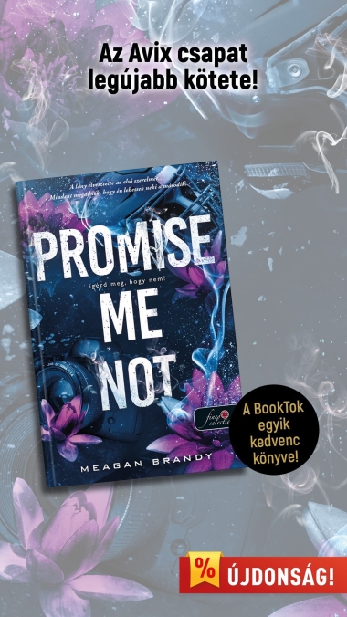 Promise Me Not - Ígérd meg, hogy nem! (Az Avix csapat 2.)