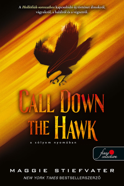 Maggie Stiefvater: Call Down the Hawk – A sólyom nyomában (Álmodók-trilógia 1.)