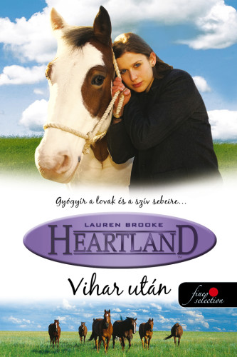 Lauren Brooke: Vihar után (Heartland 2.)