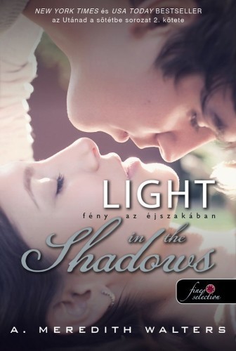 A. Meredith Walters: Light in the Shadows – Fény az éjszakában (Utánad a sötétbe 2.)