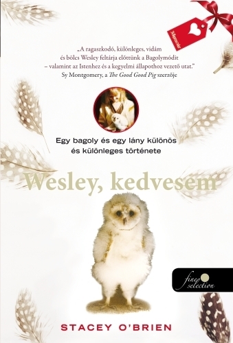Wesley, kedvesem - Felejthetetlen történet szeretetről, egy kis bagolyról és a barátnőjéről
