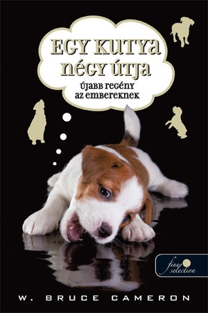Egy kutya négy útja – Újabb regény az embereknek
