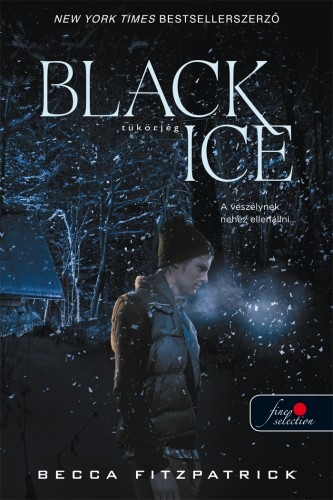 Black Ice – Tükörjég